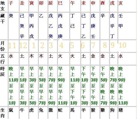 辰屬金|圖解：教你認識十二地支